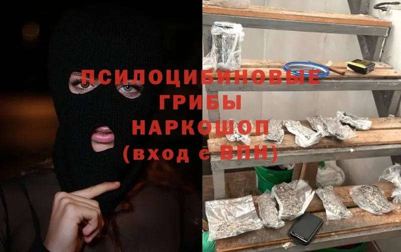 закладка  MEGA   Псилоцибиновые грибы Psilocybine cubensis  Ижевск 